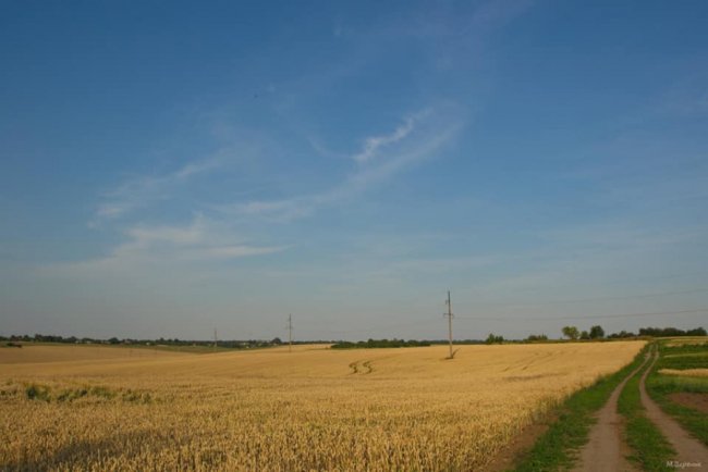 Фотограф показав красу волинських полів