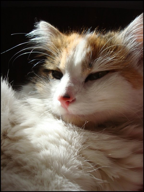 Фотовиставка Валентини Жуги