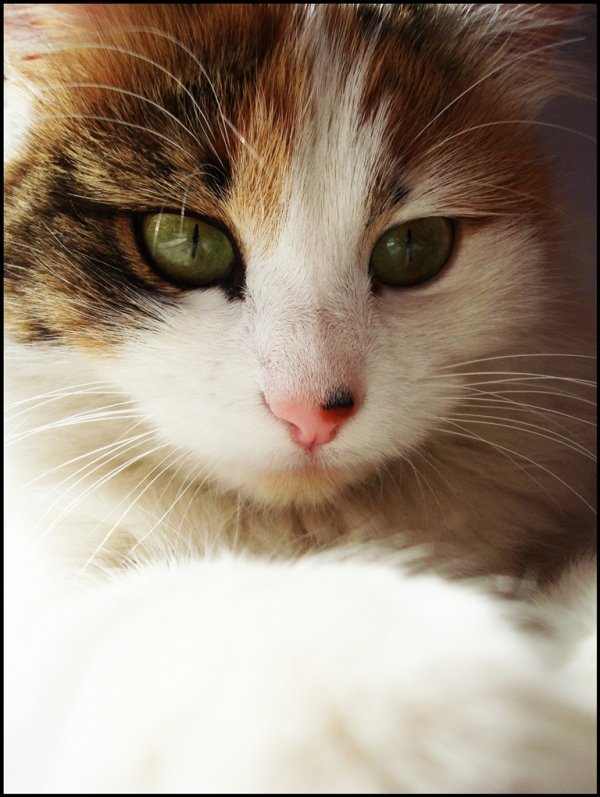 Фотовиставка Валентини Жуги