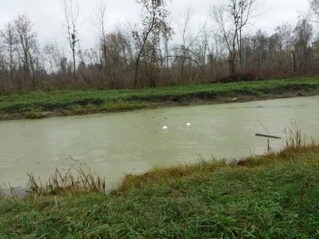 У луцькому парку «похазяйнували» вандали. ФОТО