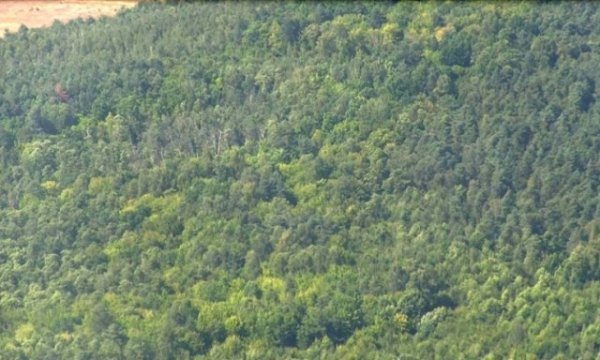 Авіація охороняє Волинську область від пожеж. ФОТО