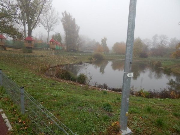 Зоопарк в Замості: погляд з Луцька. ФОТО