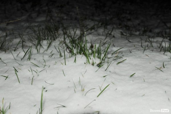 Сніг у Луцьку. ФОТО