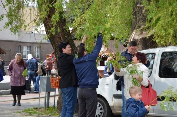 У Луцьку прихожани хотіли зекономити на вербі. ФОТО