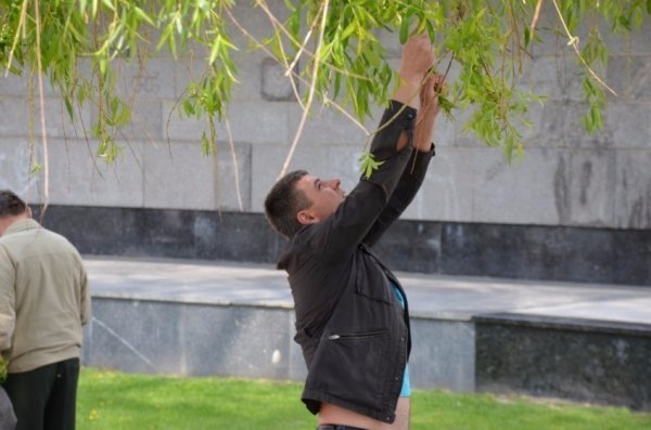 У Луцьку прихожани хотіли зекономити на вербі. ФОТО