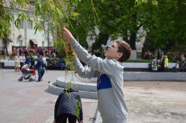У Луцьку прихожани хотіли зекономити на вербі. ФОТО