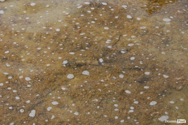 У «Луцькводоканалі» кажуть, що чистять фонтани, «на скільки це реально». ФОТО