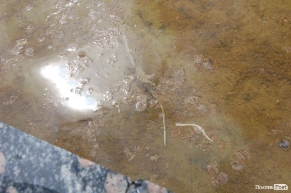 У «Луцькводоканалі» кажуть, що чистять фонтани, «на скільки це реально». ФОТО