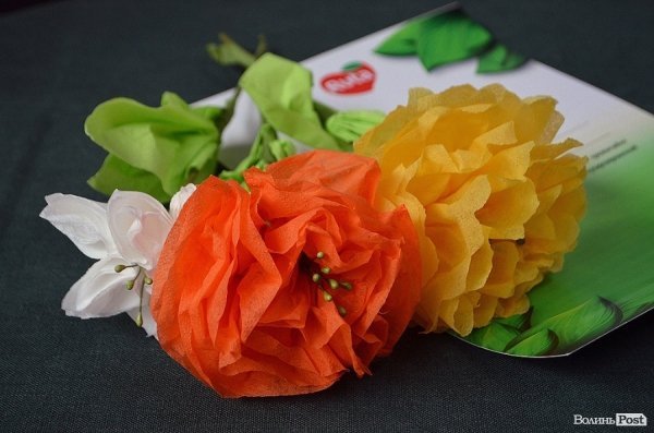 Як у Луцьку виготовляють туалетний папір. ФОТО