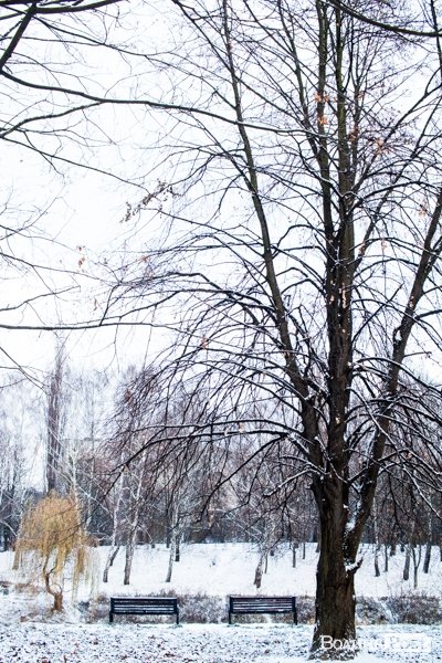 Парк 900-річчя Луцька під першим снігом. ФОТО