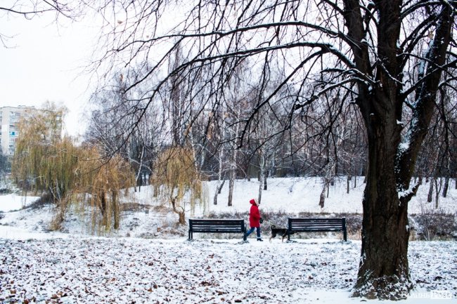 Парк 900-річчя Луцька під першим снігом. ФОТО