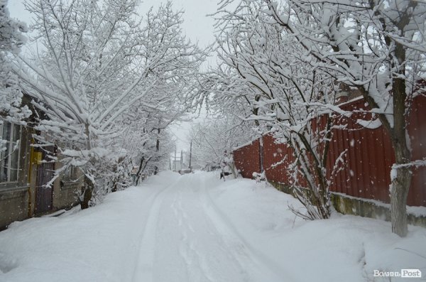 Снігопад у Луцьку. ФОТО