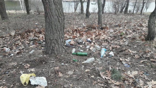 Біля дитячого табору під Луцьком – стихійне сміттєзвалище. ФОТО