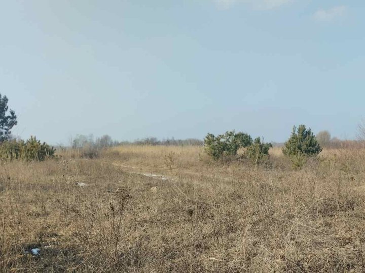 На Волині біля міжнародної траси продають у приватні руки комплекс земельних ділянок