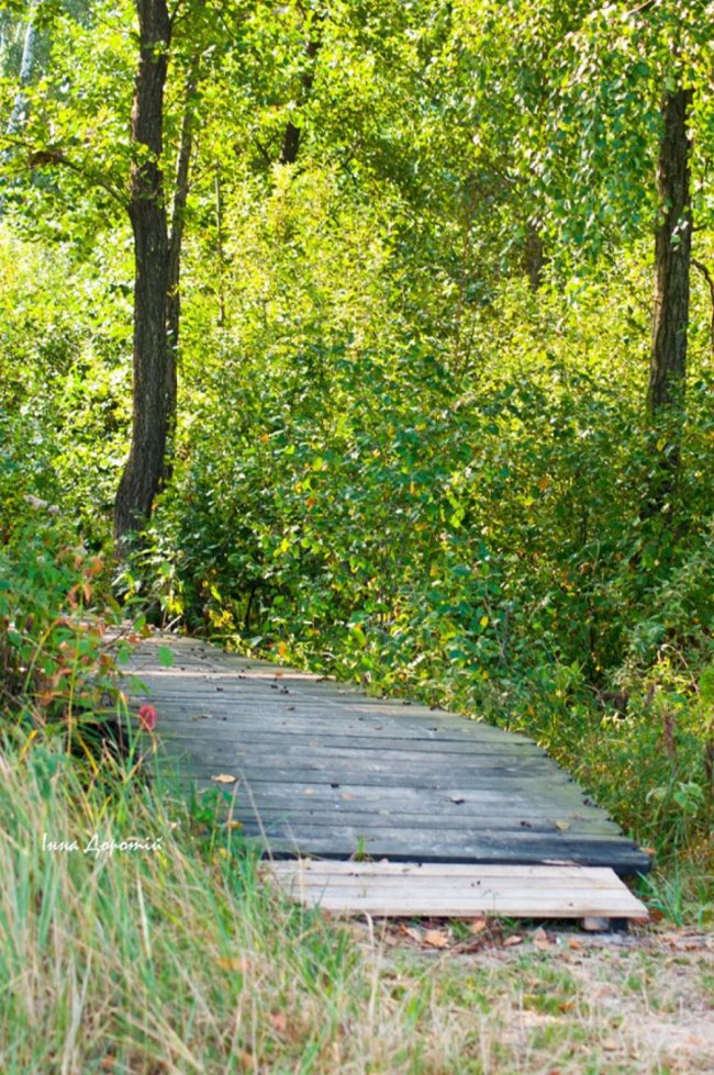 «Змілілий, але затишний», –  лучанка про осінній Світязь. ФОТО