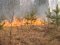 На українсько-білоруському кордоні гасили пожежу