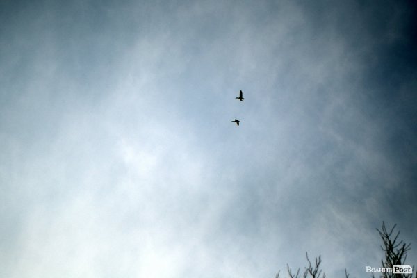 Весна у Луцьку. ФОТО