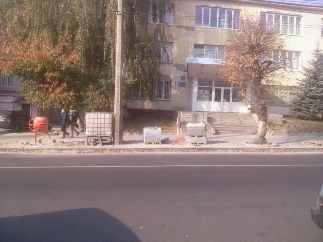 У центрі Луцька висаджують канадські липи. ФОТО