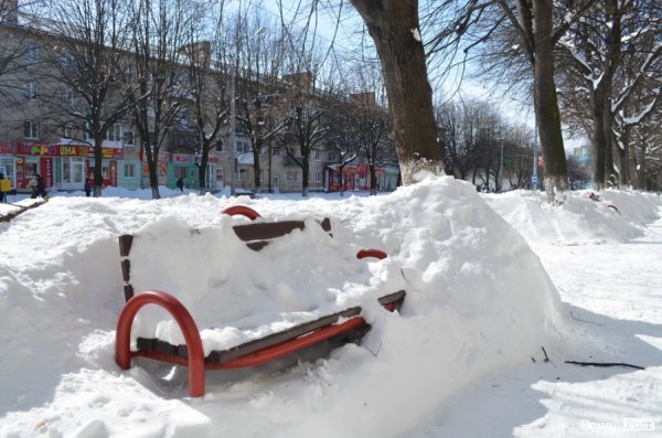 Луцьк після снігопаду. ФОТО