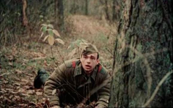 П'ять творів українських письменників, які екранізували