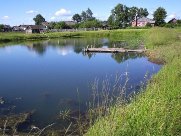 Волинянина, якого знайшли на березі водойми, рятували від алкогольної коми