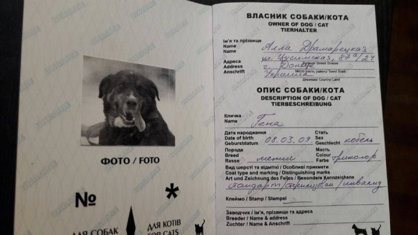 Діти з Донеччини завітали до Луцького зоопарку. ФОТО