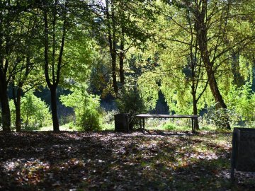 У Луцьку в парку пограбували чоловіка  