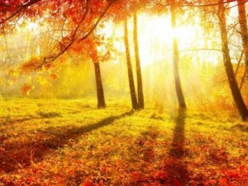 Тепло повернеться: синоптик дала несподіваний прогноз погоди в Україні