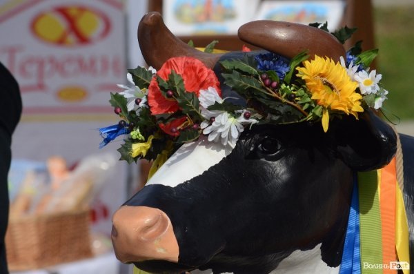  У Луцьку Романюк варив борщ на фестивалі їжі. ФОТО