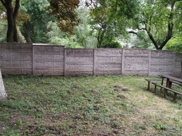 Перестрибнув через огорожу: деталі втечі пацієнта психлікарні в Олиці. ВІДЕО