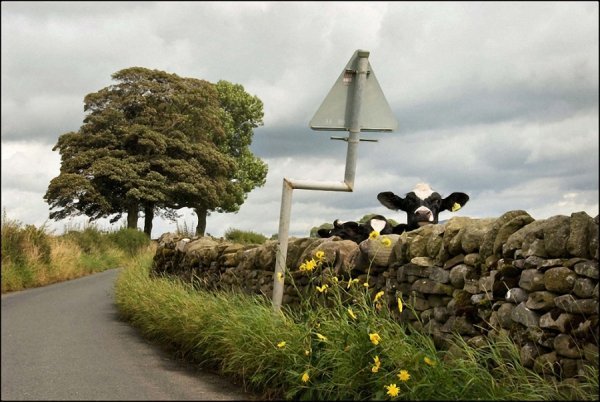 Кумедні стріт-фото Нільса Йоргенсена