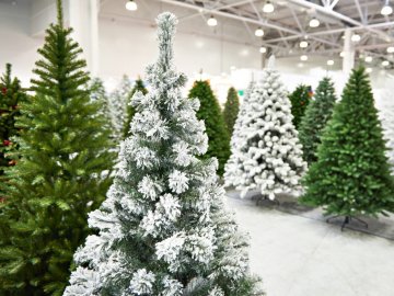 Експерти дали поради, як правильно обрати штучну ялинку