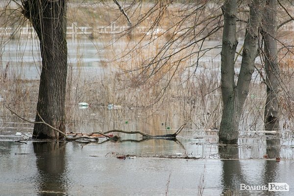 Повінь у Луцьку. ФОТО. ВІДЕО