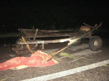 Смерть на підводі: на Волині відпустили винуватця аварії