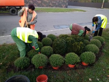Скільки у Луцьку витратять на ремонт доріг, прибирання та озеленення у 2020 році
