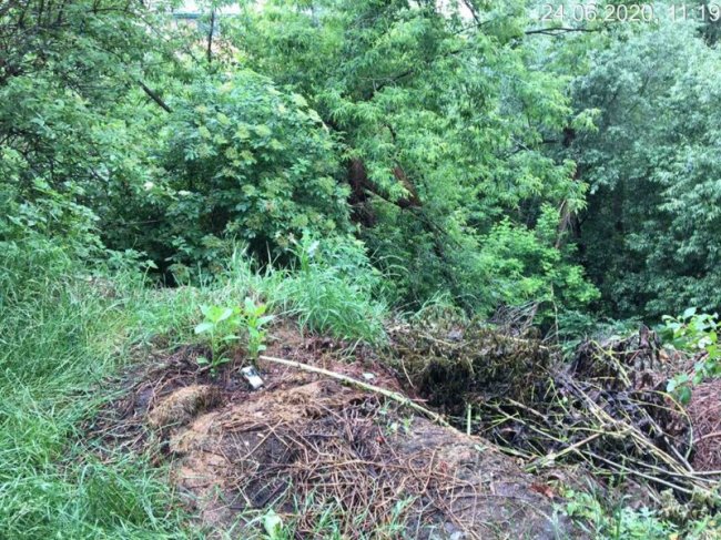Відходи, перегній, гілля і скошена трава: біля Стиру у Луцьку виявили незаконне сміттєзвалище