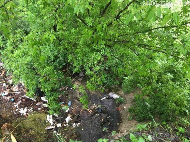 Відходи, перегній, гілля і скошена трава: біля Стиру у Луцьку виявили незаконне сміттєзвалище