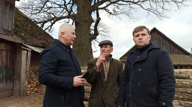 На Волині ростуть дуби-велетні, яким  700-800 років. ФОТО