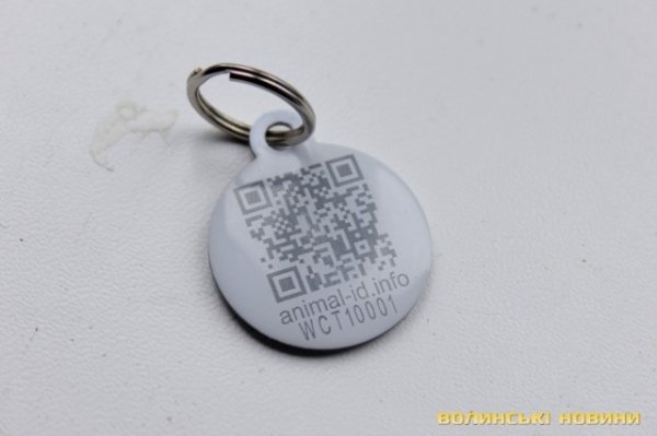 Відлов собак у Луцьку: рушниці, чіпи та гроші. ФОТО