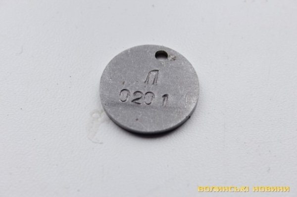 Відлов собак у Луцьку: рушниці, чіпи та гроші. ФОТО