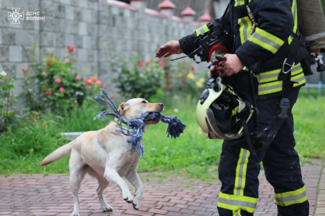 У Луцьку горів житловий будинок: врятували собаку й кота