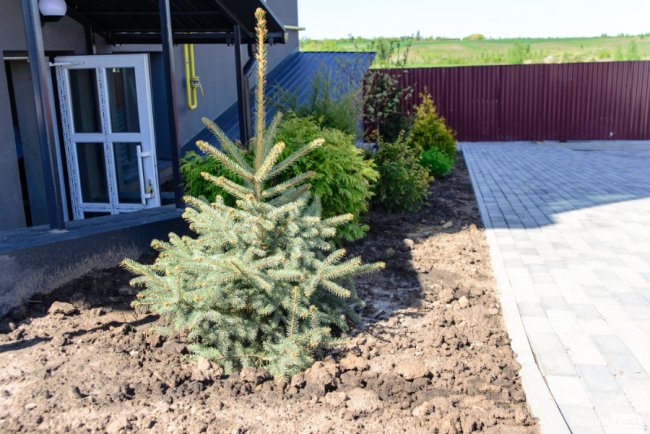 Здача нового будинку і озеленення території: затишне і сучасне житло у ЖК «Західний Олімп» під Луцьком*