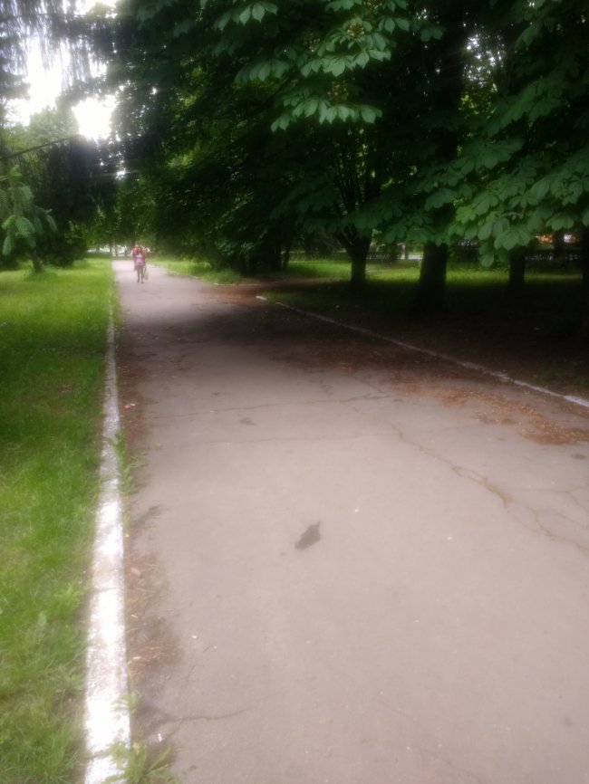 Просять облаштувати сквер поблизу луцького заводу. ФОТО