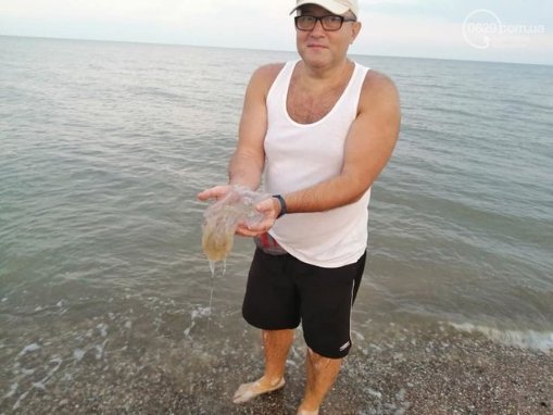 Гігантські медузи заполонили Азовське море: відпочивальники скаржаться на укуси. ВІДЕО