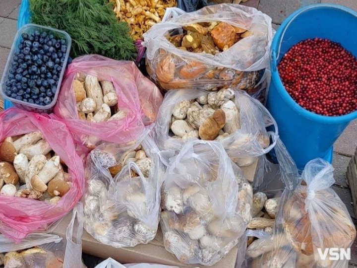 Скільки коштують гриби на ринку у Луцьку: огляд цін