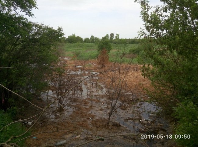«Знищує все на своєму шляху»: зі сміттєзвалища на Волині витікає отруйний фільтрат