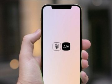 У «Дії» стала доступна виписка з Єдиного державного реєстру