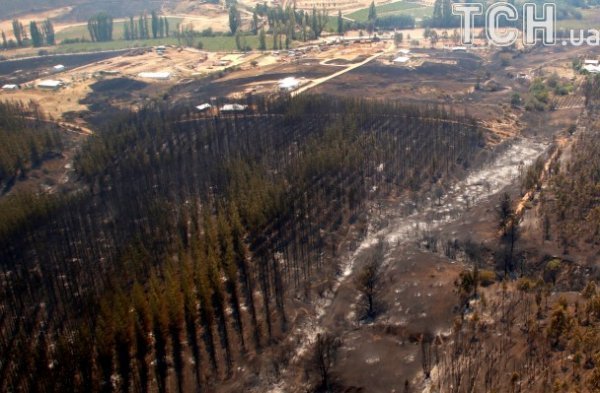 Фото масштабних лісових пожеж у Чилі