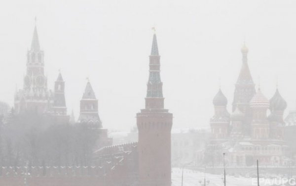 Фото масштабних лісових пожеж у Чилі