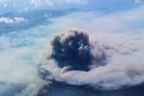Фото масштабних лісових пожеж у Чилі